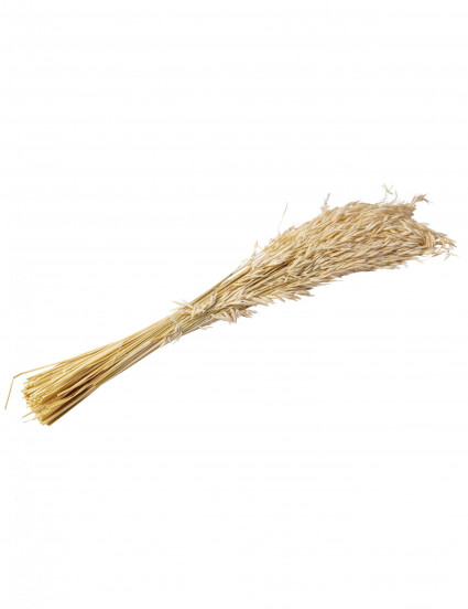 Mazzo di spighe di aveva secco e naturale 100gr 73 cm Mazzo di spighe di aveva secco e naturale 100gr 73 cm