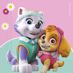 per Feste di Compleanno per Bambini o Feste a Tema Paw Patrol Skye & Everest 120 x 180 cm. Tovaglia 